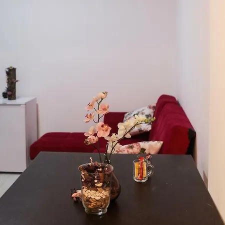 Apartment Punta & Suits *